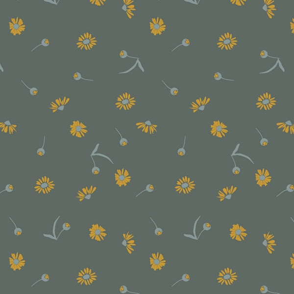 Canyon Springs - Chamomile - Coton