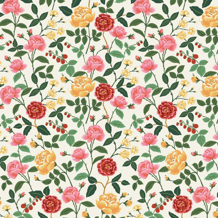 English Rose - Cream - Coton