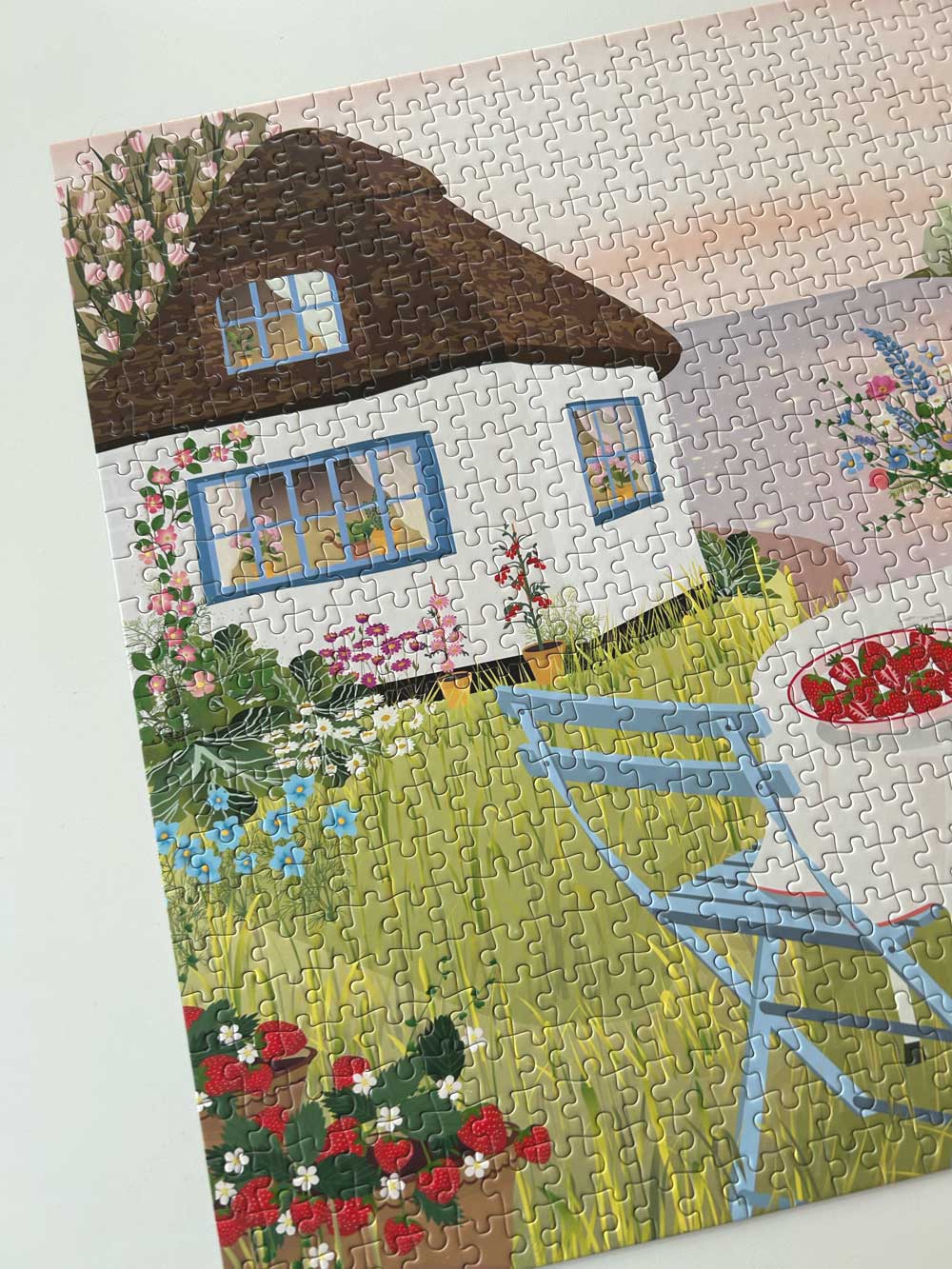 FRAISES SUCRÉES - PUZZLE - 1000 pièces